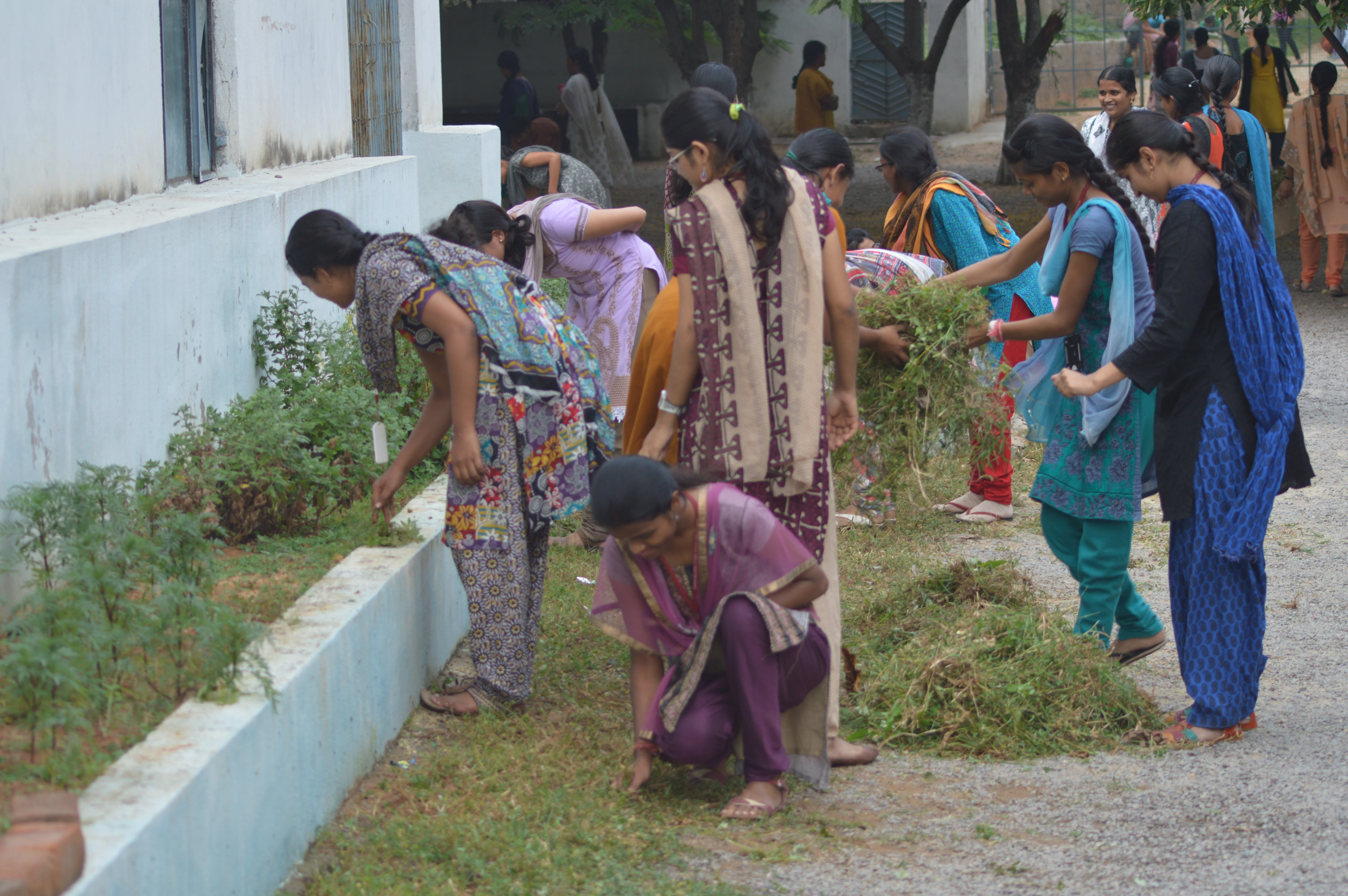 clean india green india - RITW